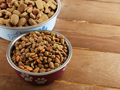 Πρέπει να αλλάξετε την τροφή της γάτας σας σε σιτηρά ψησίματος; Εδώ είναι τι ...